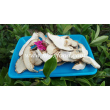 Сушеный грибной ломтик шиитаке, нарезанный гриб